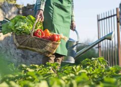 Organik tarımın ilkeleri