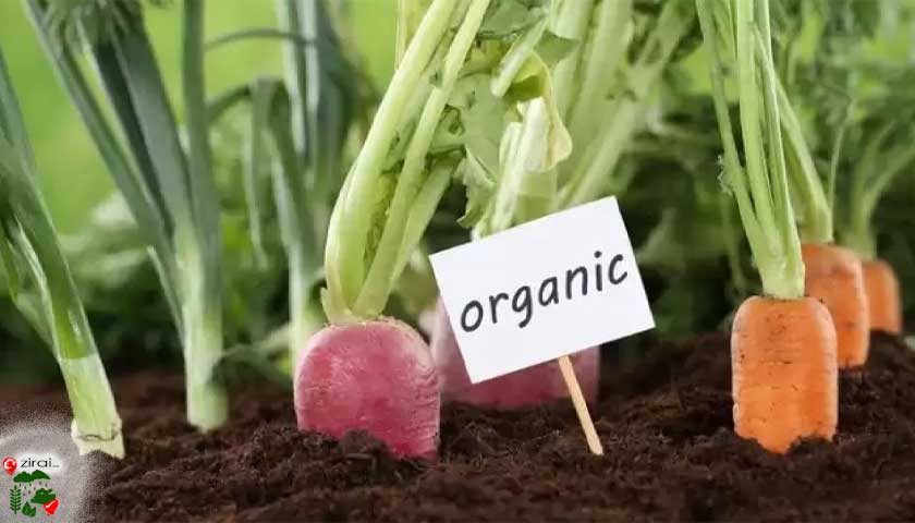 Organik tarım