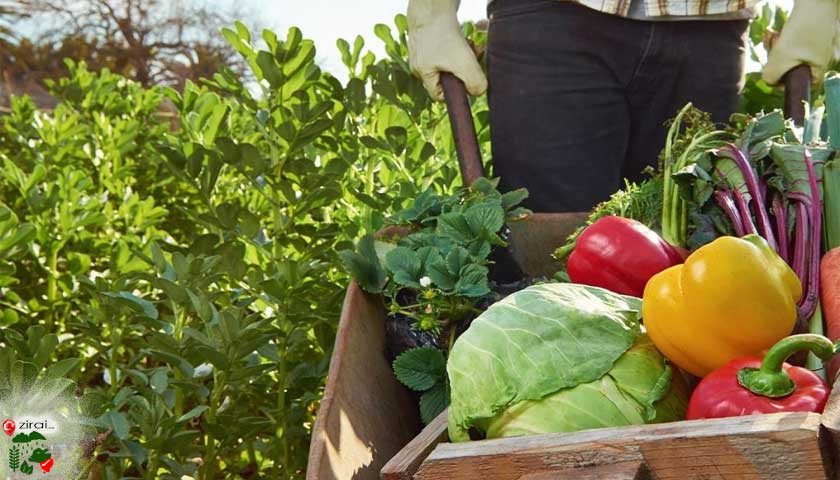 organik tarım, çiftçi, el arabası
