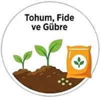 Tohum, Fide ve Gübre